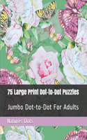 75 Large Print Dot-to-Dot Puzzles