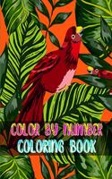 Color By Number Coloring Book