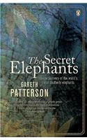 The Secret Elephants: The discovery of the world's most southerly elephants