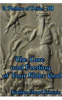 Care and Feeding of Your Elder God