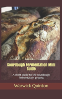 Sourdough Fermentation Mini Guide