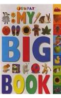 Big Tab Book - my Big Book