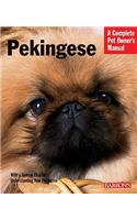 Pekingese