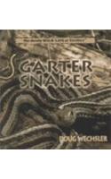 Garter Snakes
