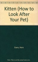 How To Look After Your Pet:  1 Kitten