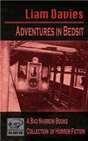 Adventures in Bedsit