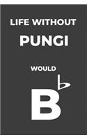 Life Without Pungi
