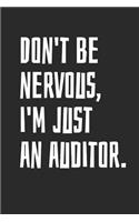 Don't Be Nervous, I'm Just An Auditor