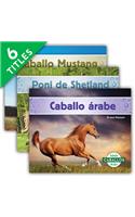 Caballos Set 2 (Horses) (Set)