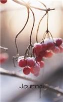 Journal: A5 5x 8 126 page Dot bullet journal, notebook, diary with a red berries with frost in the winter on the cover