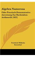Algebra Numerosa: Oder Practisch-Demonstrative Anweisung Zur Buchstaben-Arithmetik (1832)