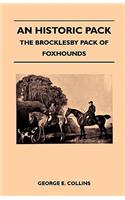 Historic Pack - The Brocklesby Pack Of Foxhounds