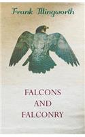 Falcons and Falconry