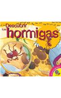 Las Hormigas