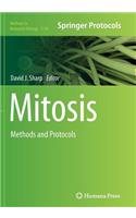 Mitosis