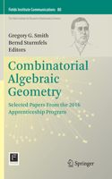 Combinatorial Algebraic Geometry