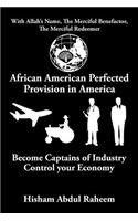 African American Perfected Provision in America