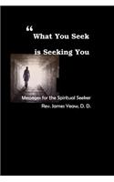 What You Seek is Seeking You