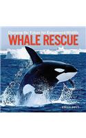 Whale Rescue