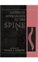 Anterior Approaches to the Spine