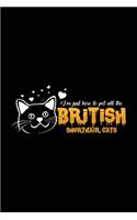 Pet all the british shorthair cats