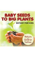 Baby Seeds To Big Plants: Botany for Kids Nature for Children Edition