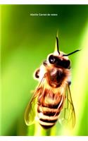 Abeille Carnet de notes: Journal A5 ligné original de 119 pages- Une belle idée de cadeau pour les amoureux des animaux