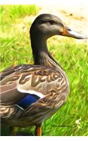 Duck Notebook