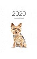2020 Yorkshire Terrier: Dated Weekly Planner With To Do Notes & Dog Quotes - Yorkshire Terrier