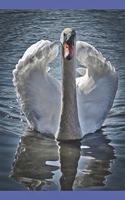 Swan Journal