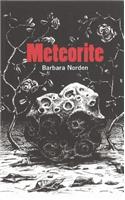 Meteorite