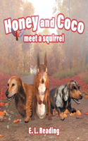 Honey and Coco meet a Squirrel