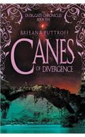 Canes of Divergence