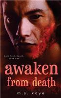 Awaken from Death: (2 Born from Death)