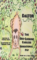 Dalton - the Odd Looking Earless Sensational Pup