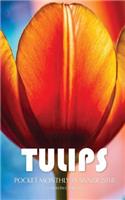 Tulips Pocket Monthly Planner 2018: 16 Month Calendar