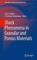 Shock Phenomena in Granular and Porous Materials