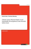 Climate Action. Warum Punkt 13 der Sustainable Development Goals Priorität haben muss