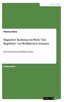 Magischer Realismus im Werk "Das Begräbnis" von Wolfdietrich Schnurre: Eine literaturwissenschaftliche Analyse