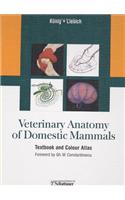 Veterinary Anatomy of Domestic Mammals