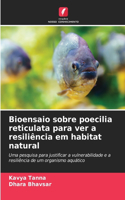 Bioensaio sobre poecilia reticulata para ver a resiliência em habitat natural