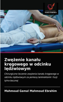 Zwezenie kanalu kregowego w odcinku ledzwiowym