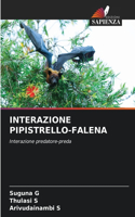 Interazione Pipistrello-Falena