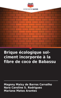 Brique écologique sol-ciment incorporée à la fibre de coco de Babassu