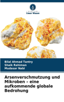 Arsenverschmutzung und Mikroben - eine aufkommende globale Bedrohung