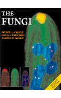 Fungi, 2nd Edition