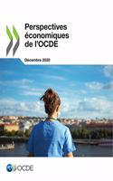Perspectives Économiques de l'Ocde, Volume 2020 Numéro 2: (Perspectives Économiques de l'Ocde)