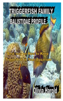 Triggerfish Family Balistidae Profile
