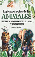 Explora el Reino de los animales