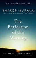 The Perfection Of The Morning